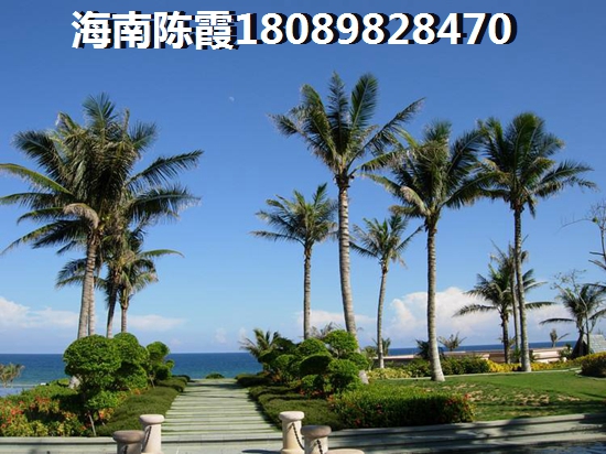 白沙房价照旧涨的这么快