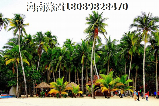 四季春天·温泉小镇买房有必要全款买吗？，四季春天·温泉小镇有哪些生纸潜力？